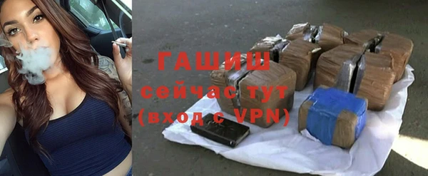 гашик Арсеньев