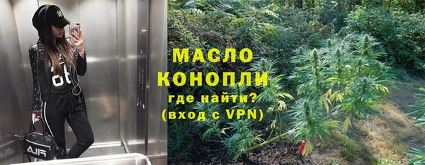сатива Армянск
