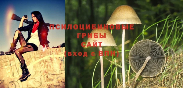 MESCALINE Баксан