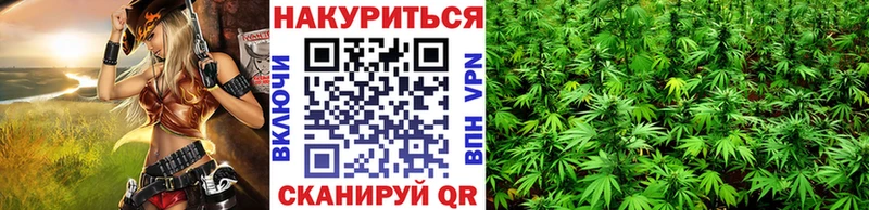 Купить где  Дорогобуж  Конопля THC 21% 
